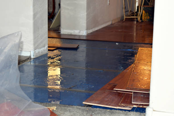 Professional Sewage Cleanup technician working in Millis, MA